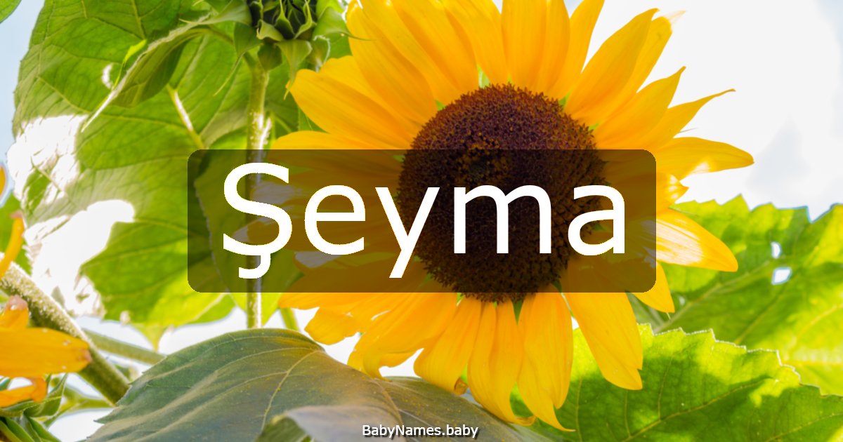 Şeyma