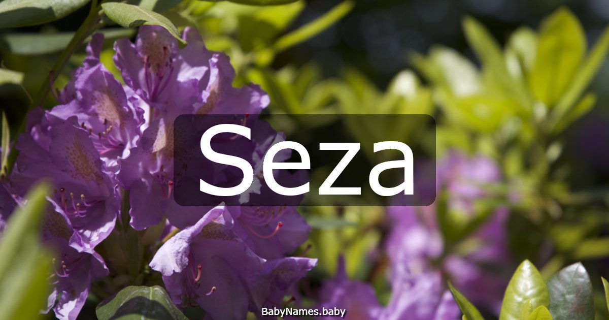 Seza