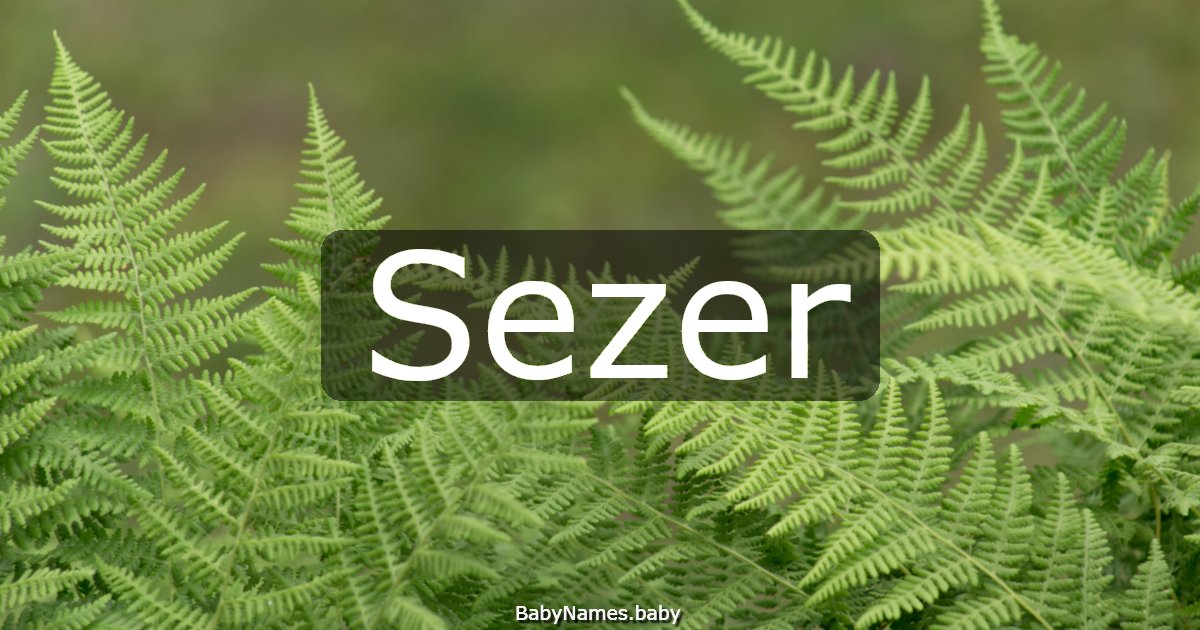 Sezer