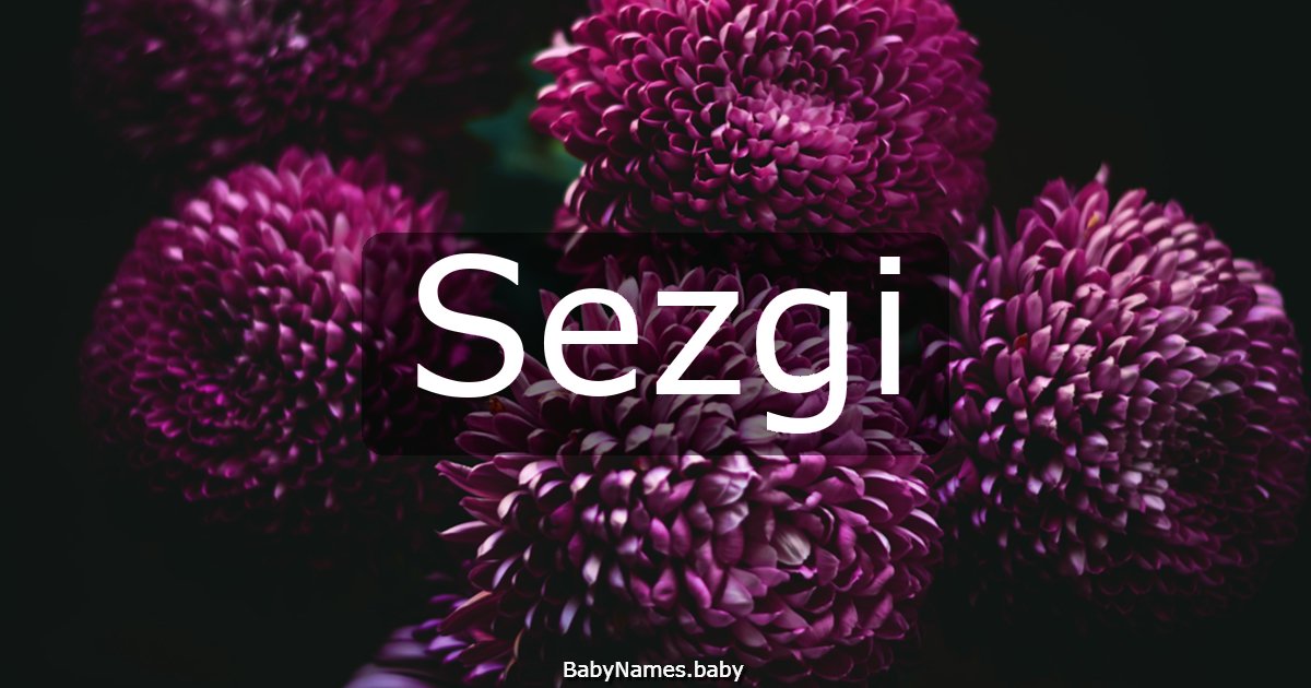 Sezgi
