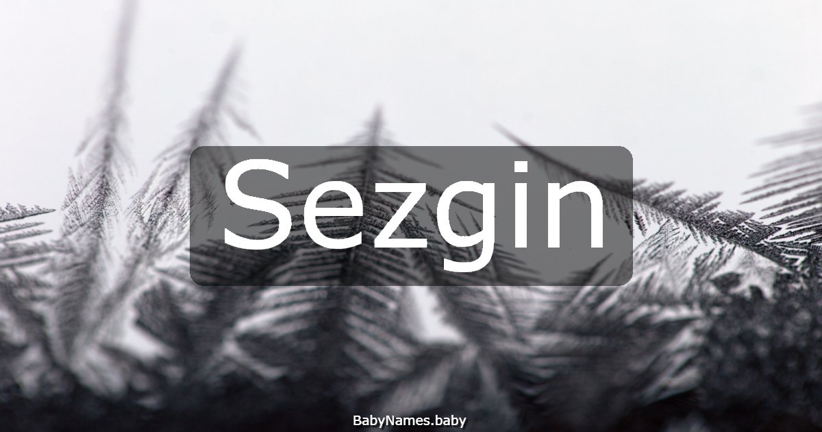 Sezgin