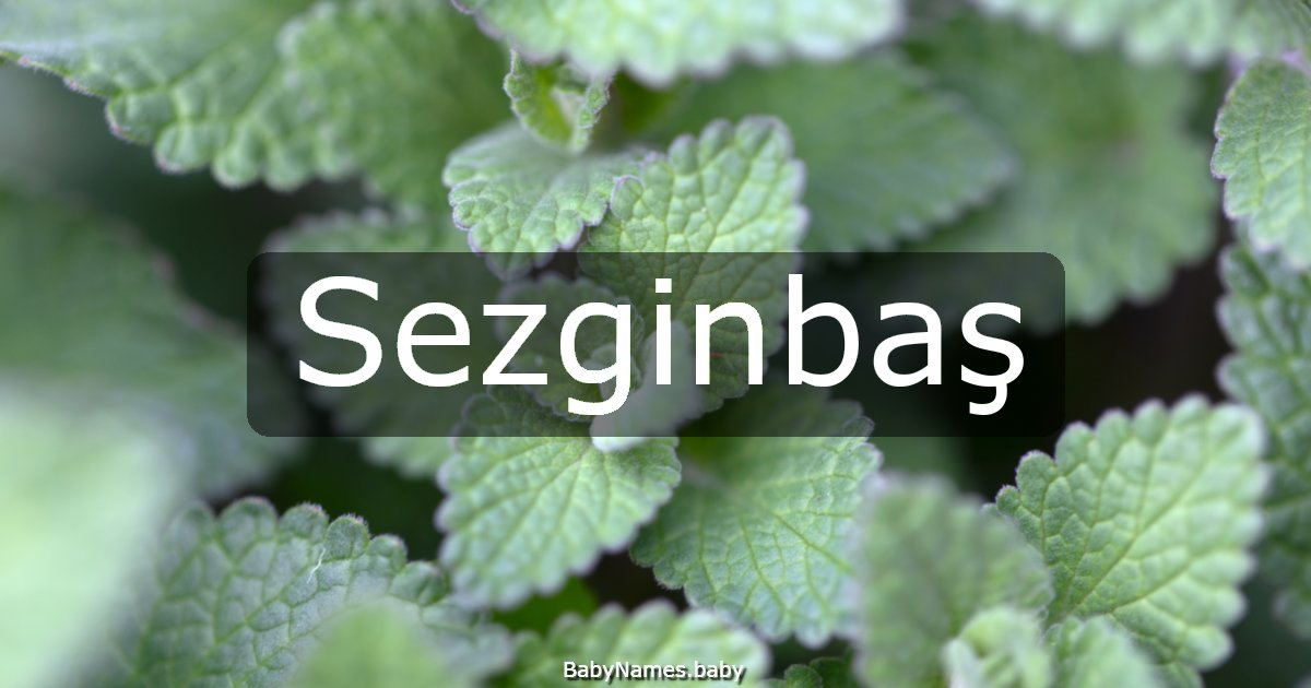 Sezginbaş