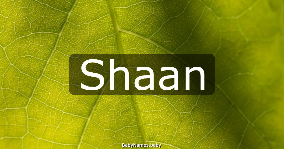 Shaan