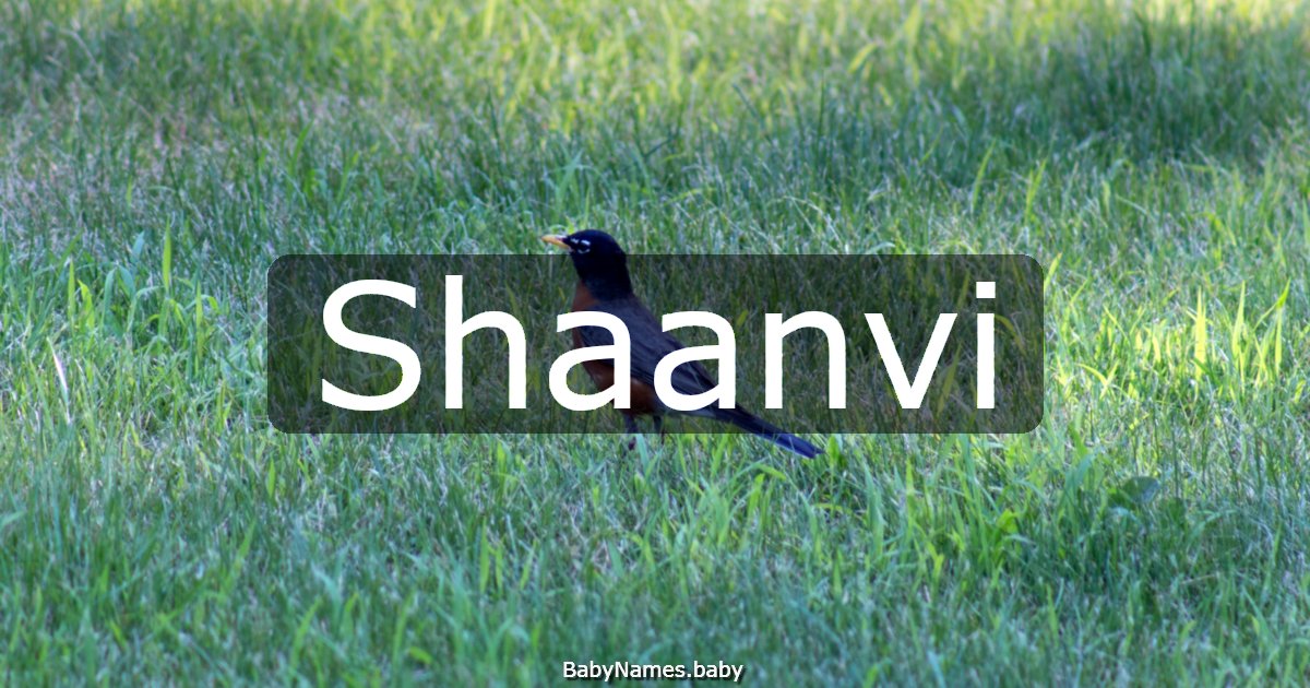 Shaanvi