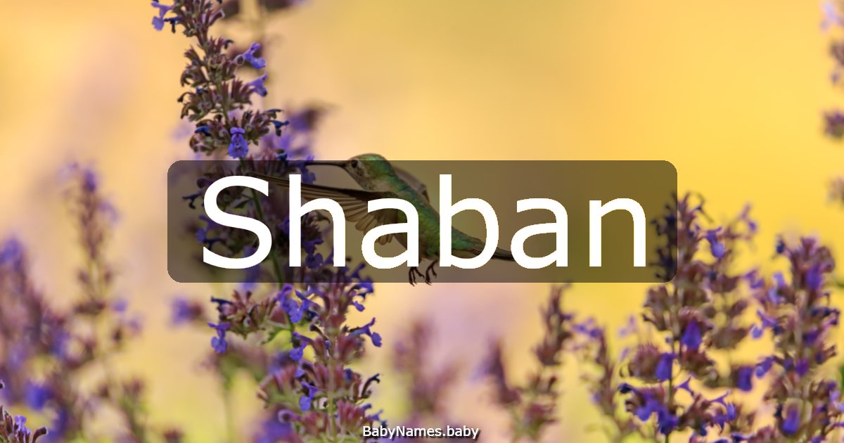 Shaban