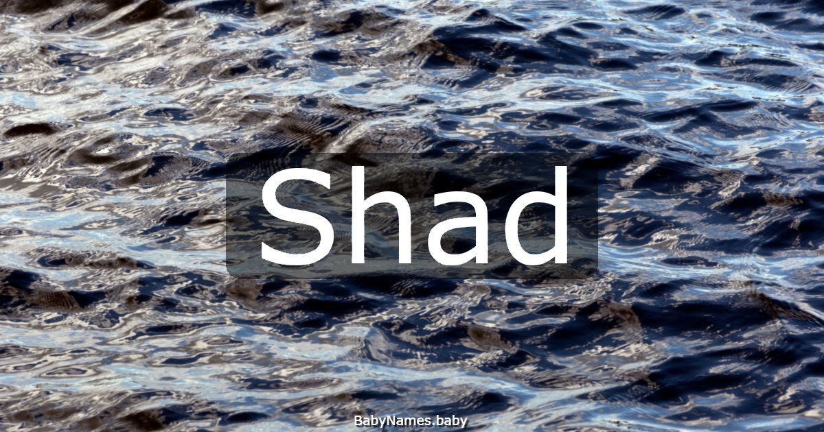 Shad
