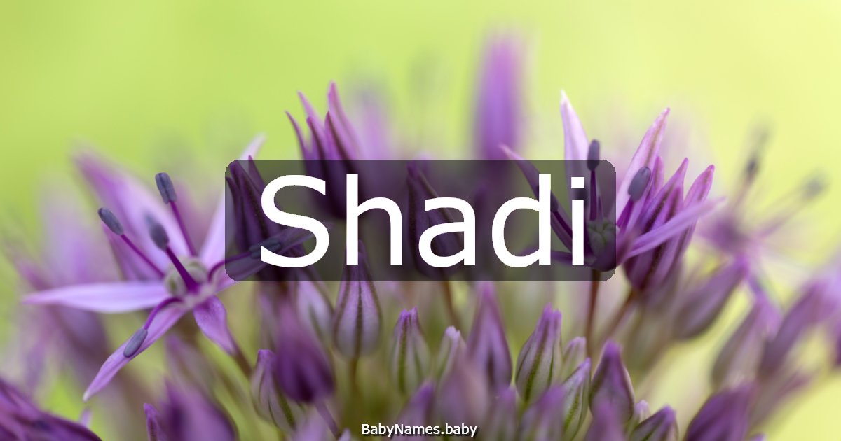 Shadi