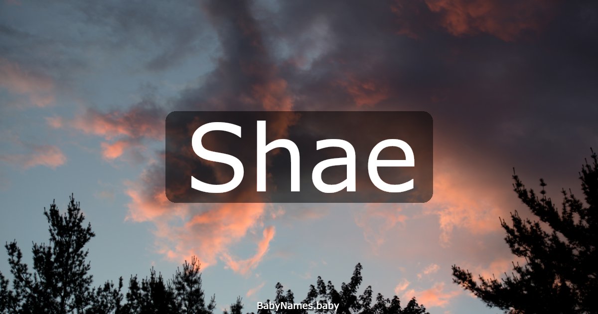 Shae