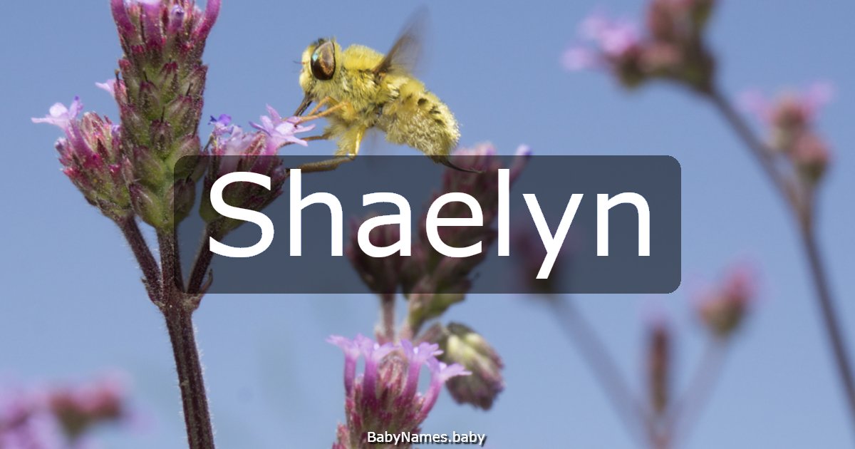 Shaelyn
