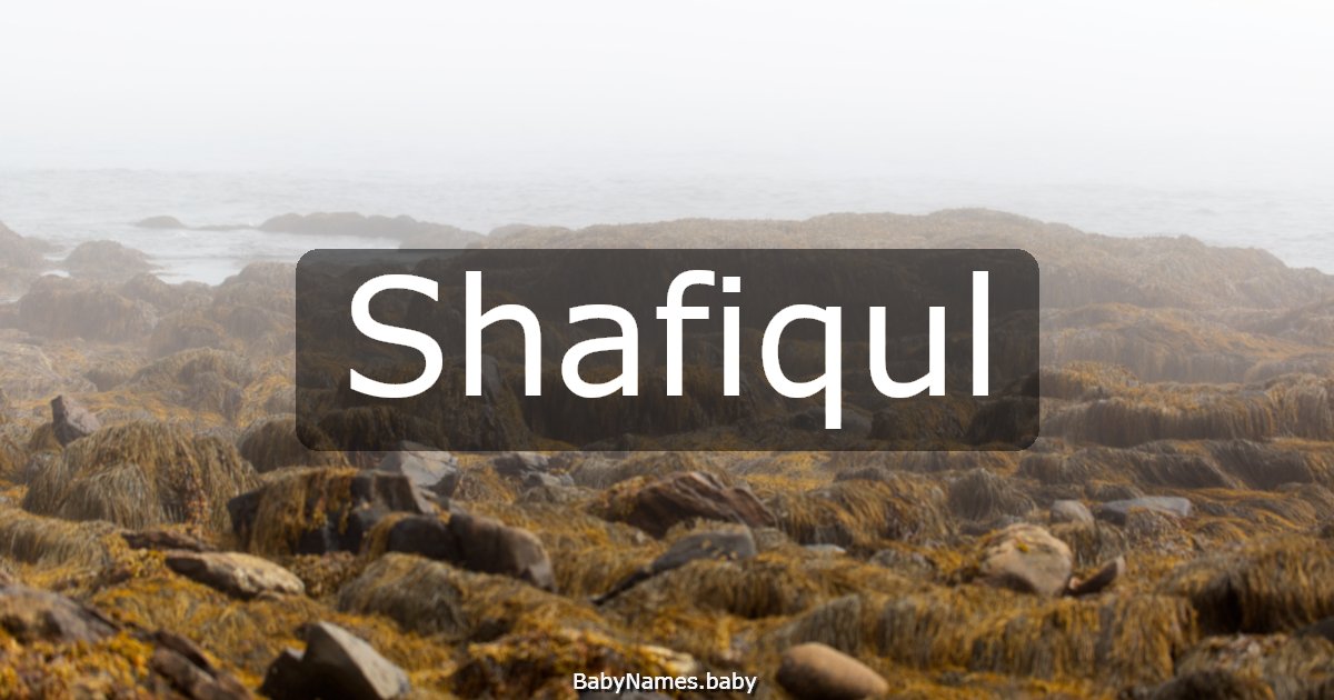 Shafiqul