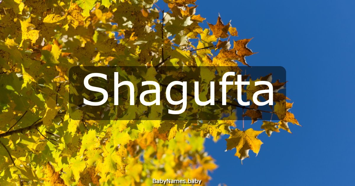 Shagufta