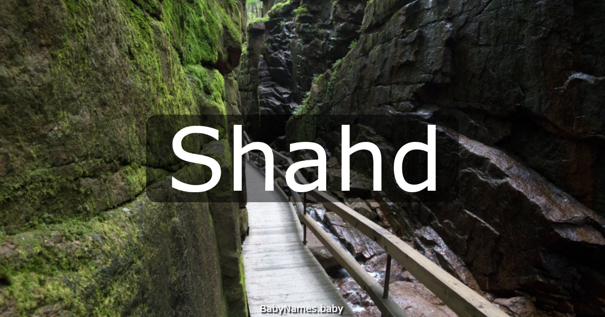 Shahd