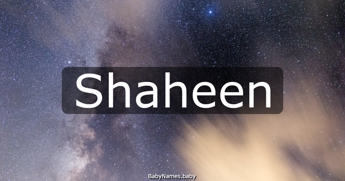 Shaheen