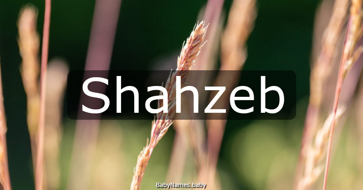 Shahzeb