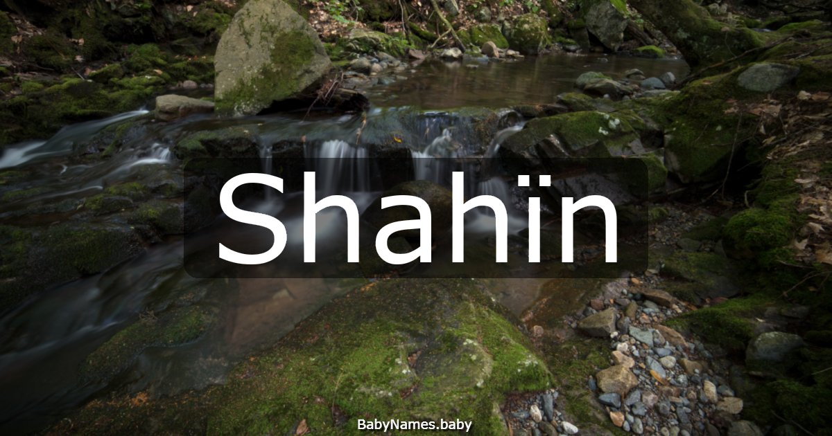 Shahïn
