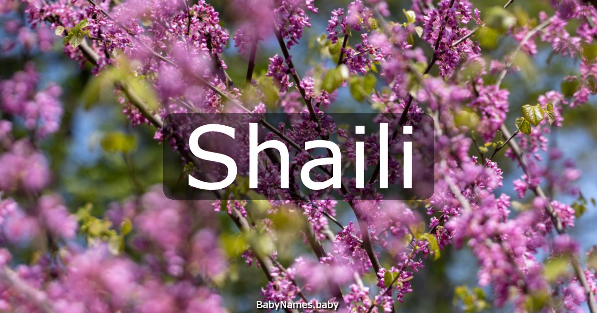 Shaili