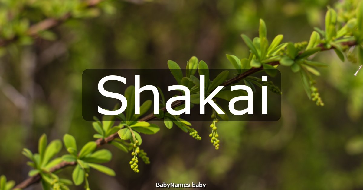 Shakai