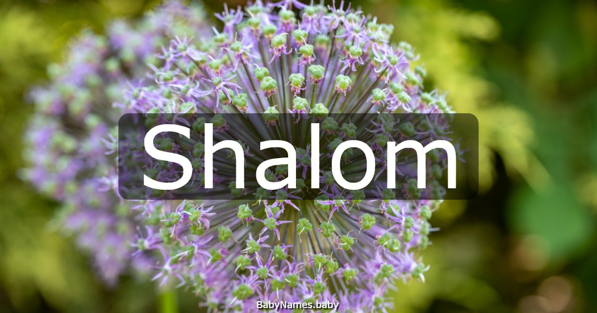 Shalom