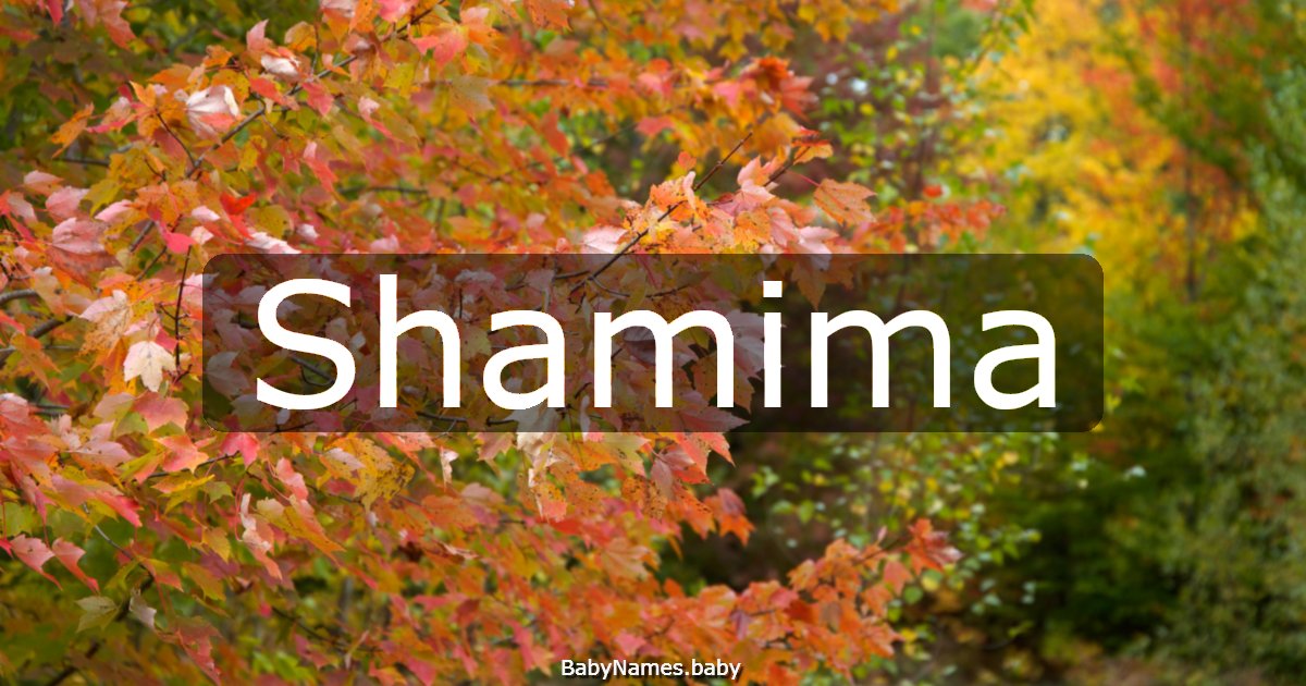 Shamima