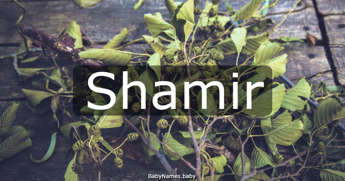 Shamir