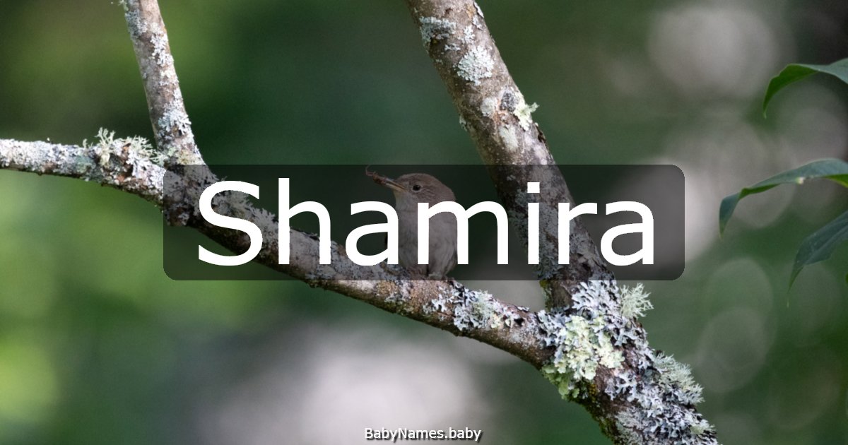 Shamira