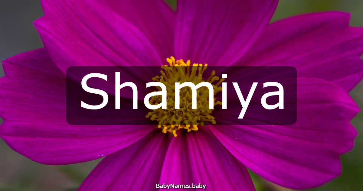 Shamiya