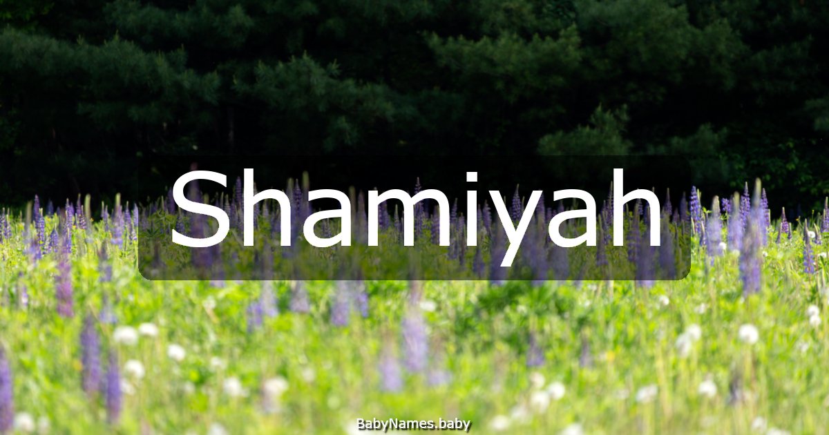 Shamiyah