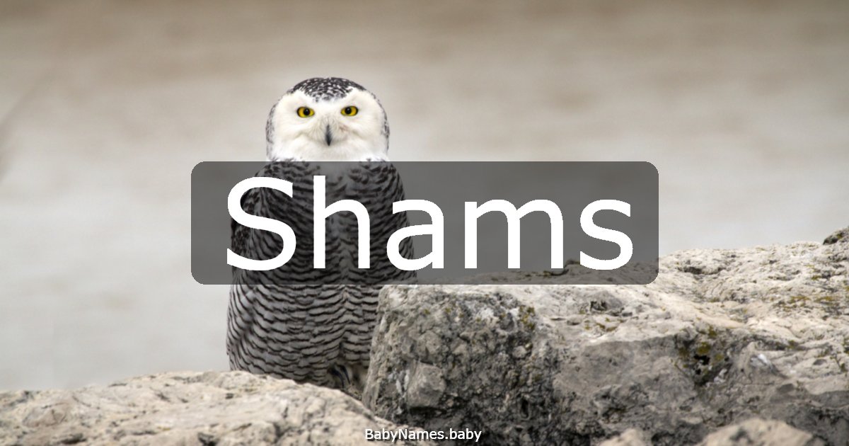 Shams