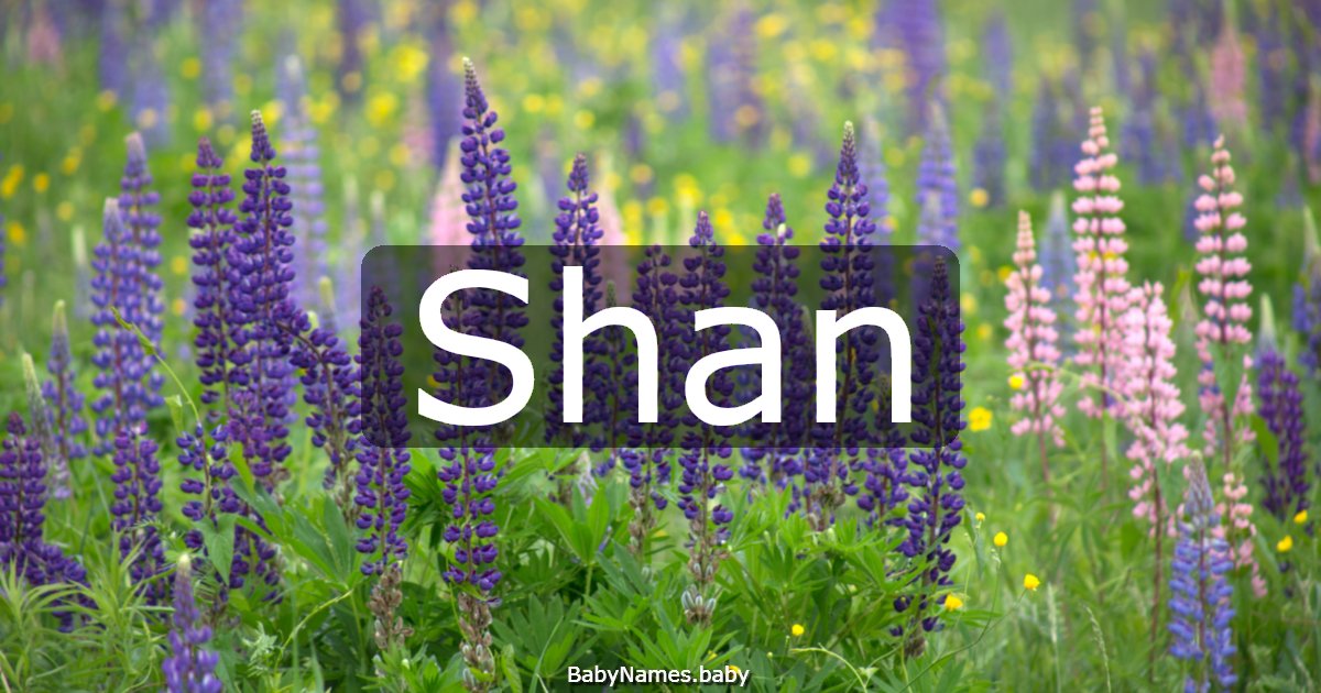 Shan
