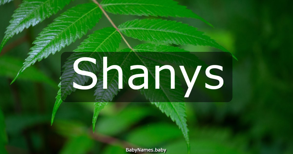 Shanys