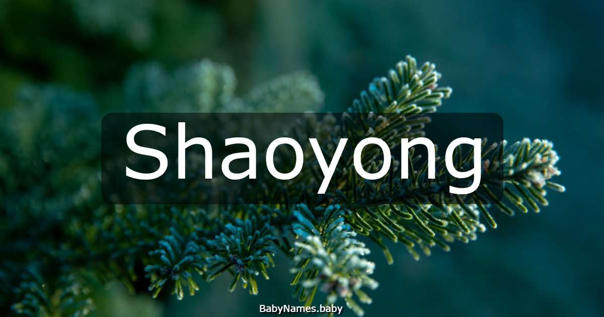 Shaoyong