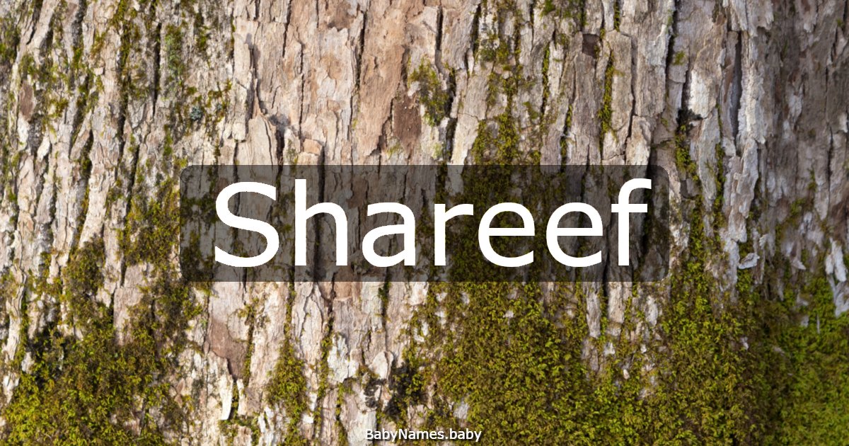 Shareef