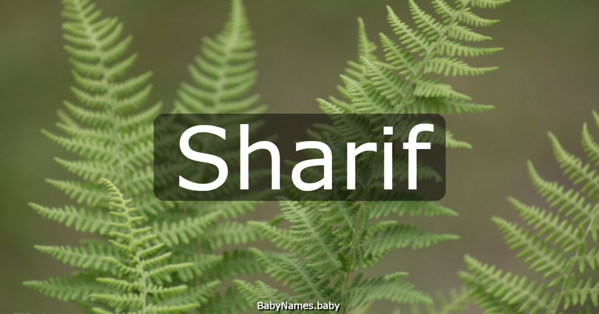 Sharif