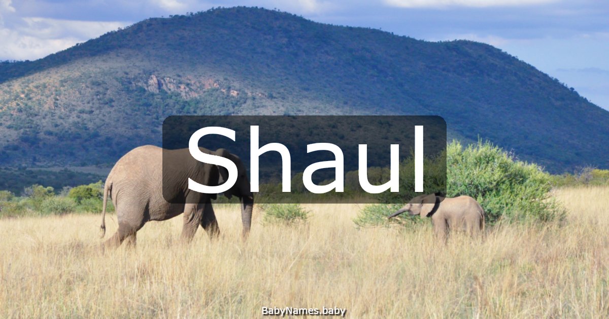 Shaul