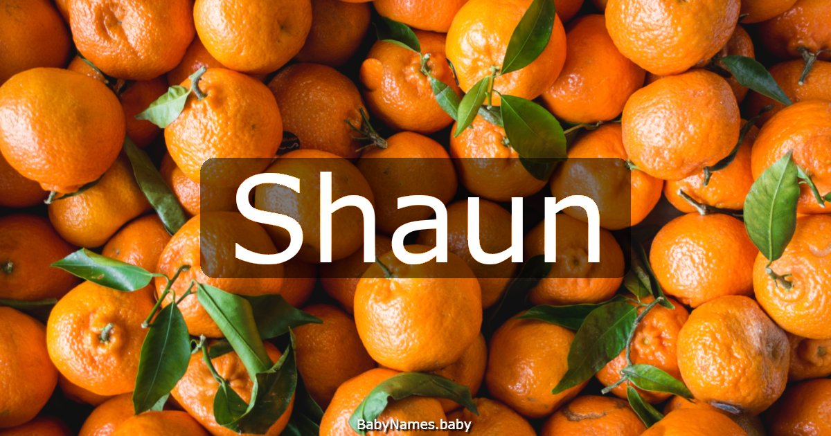 Shaun
