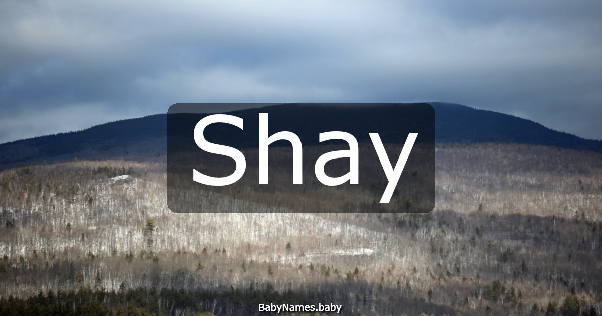 Shay