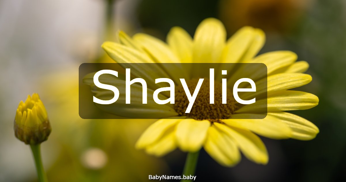 Shaylie