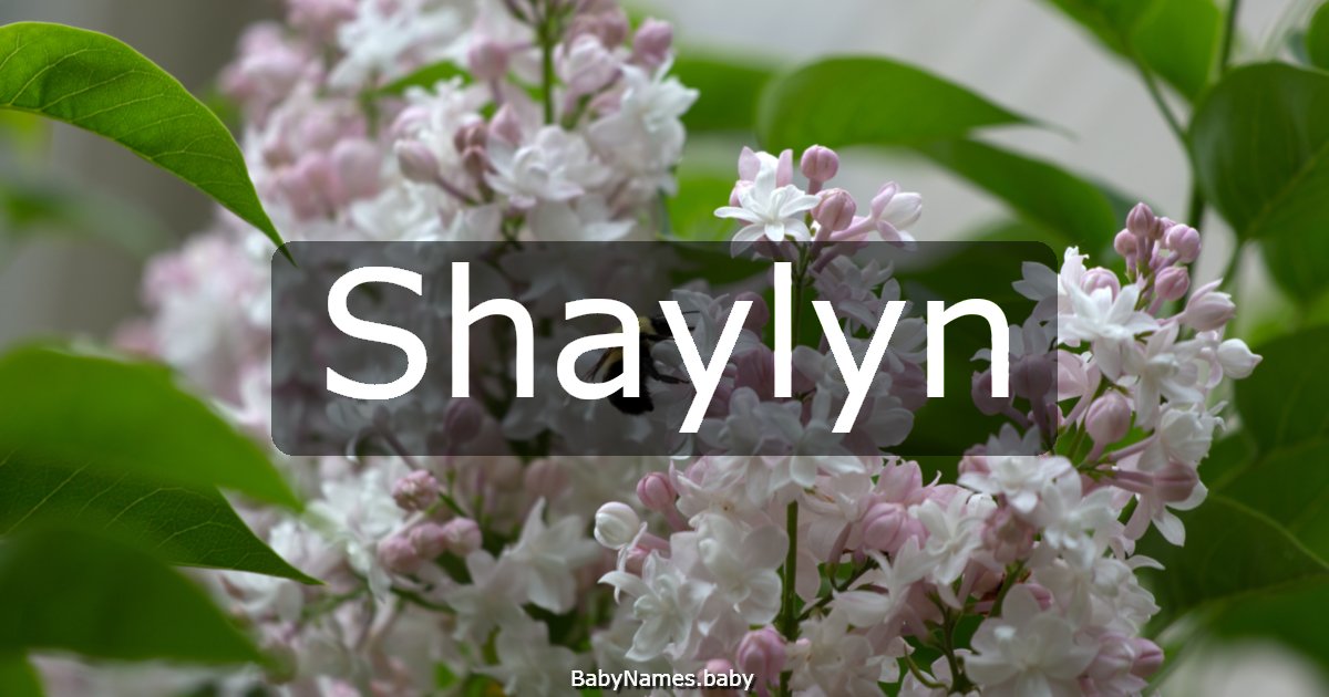 Shaylyn