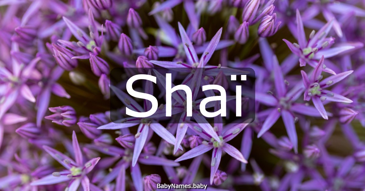 Shaï