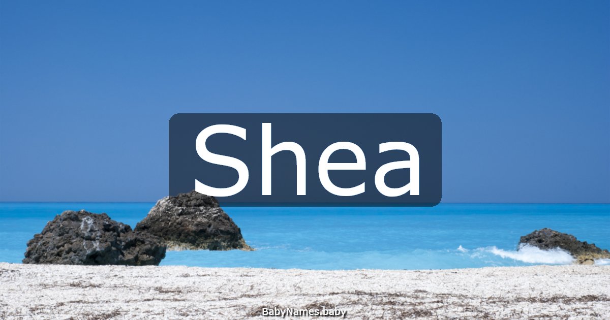 Shea