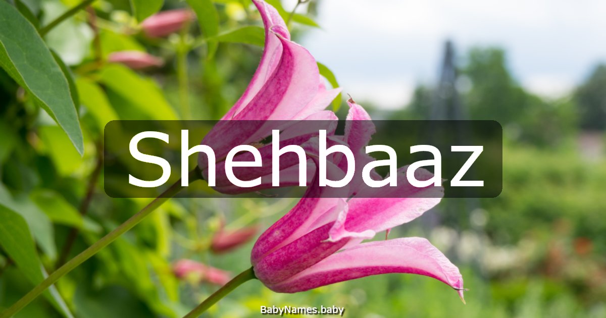 Shehbaaz