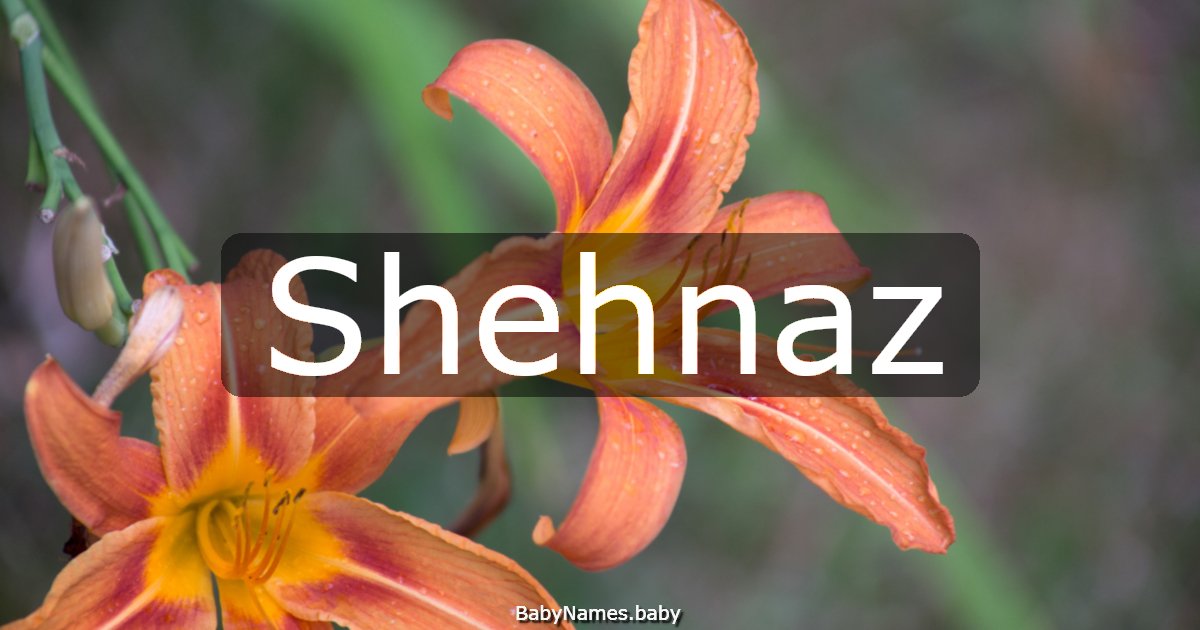 Shehnaz