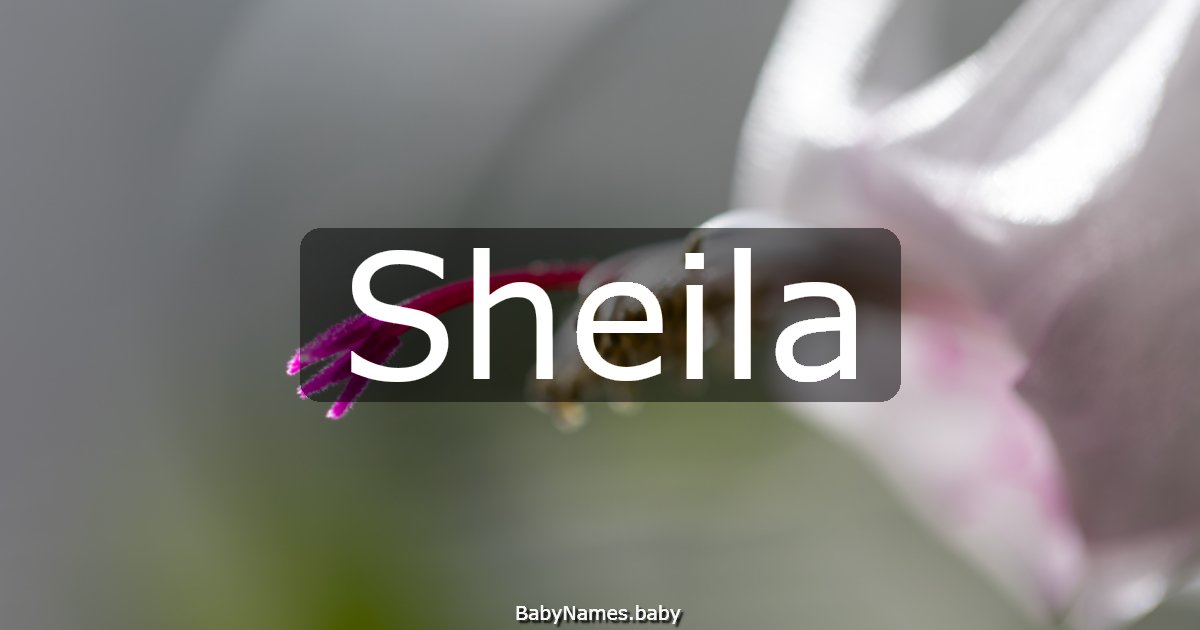 Sheila