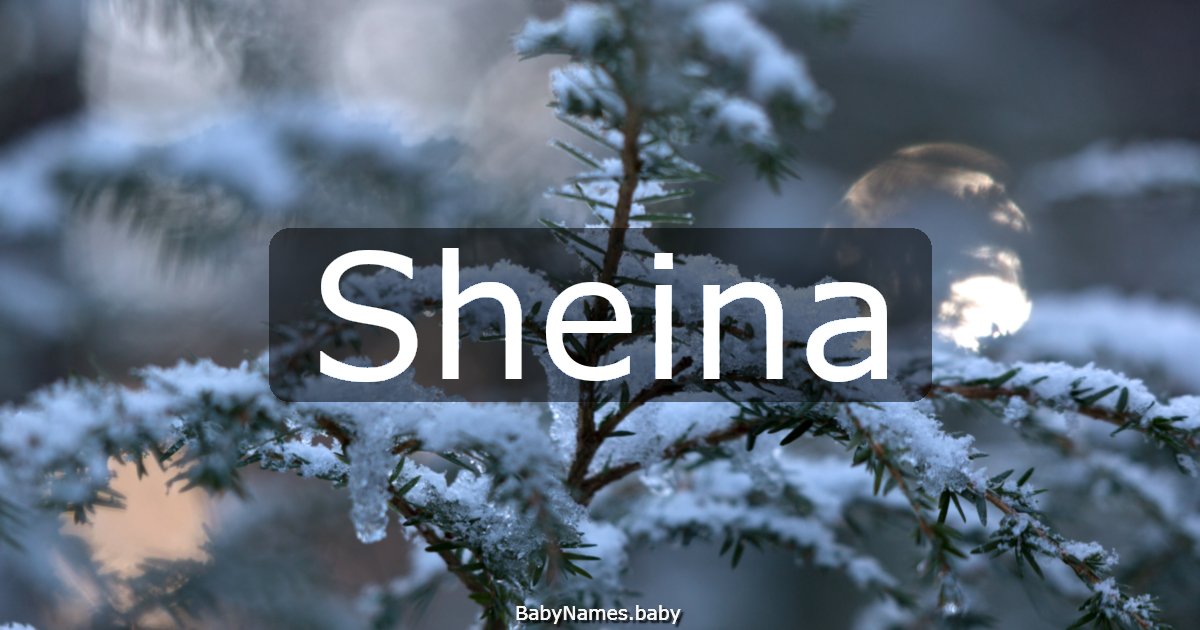 Sheina
