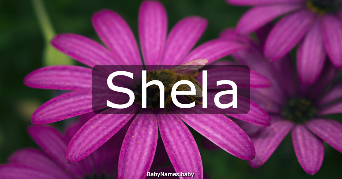 Shela