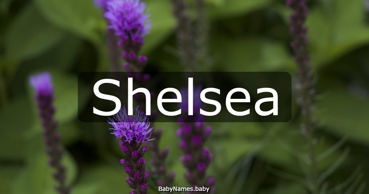 Shelsea