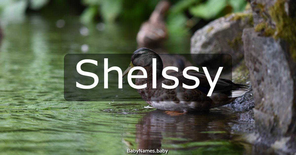 Shelssy