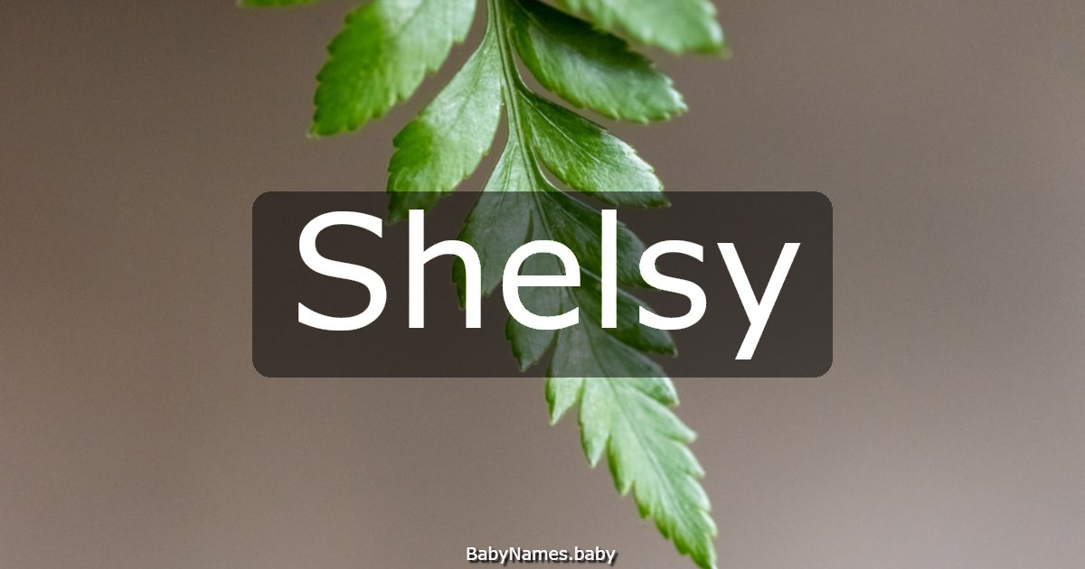 Shelsy