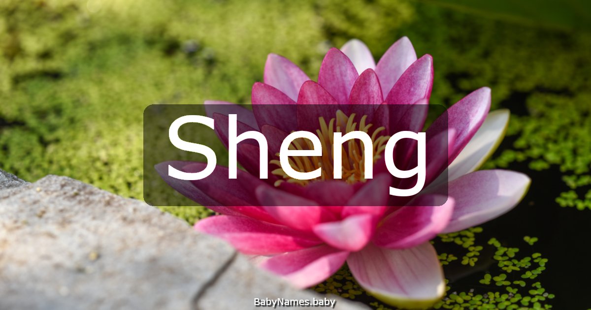 Sheng
