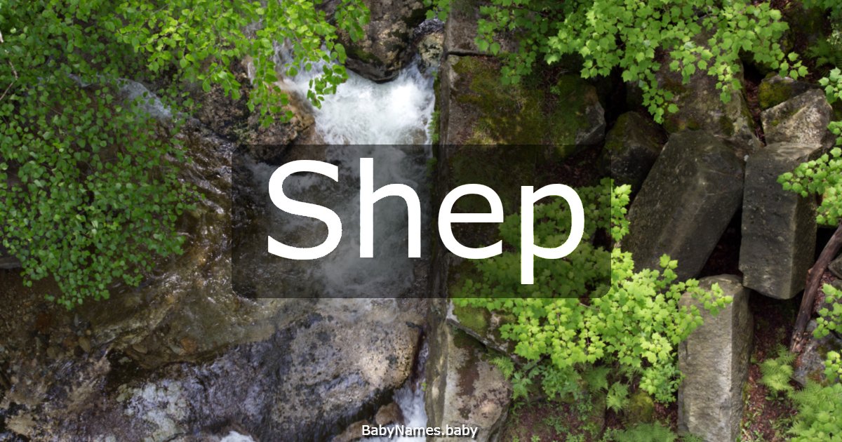Shep